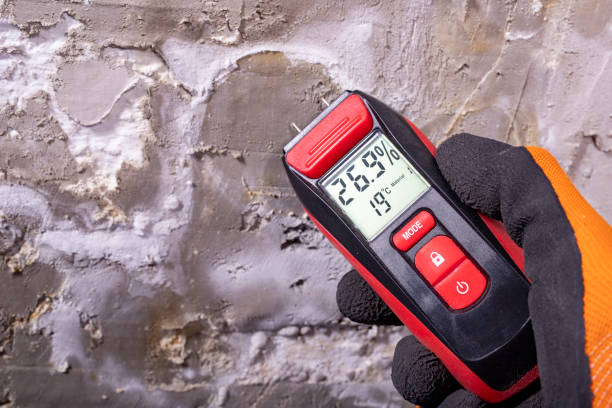 Best Insurance-Related Mold Remediation in Temple Hills, MD