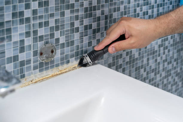 Professional Mold Remediation in Temple Hills, MD